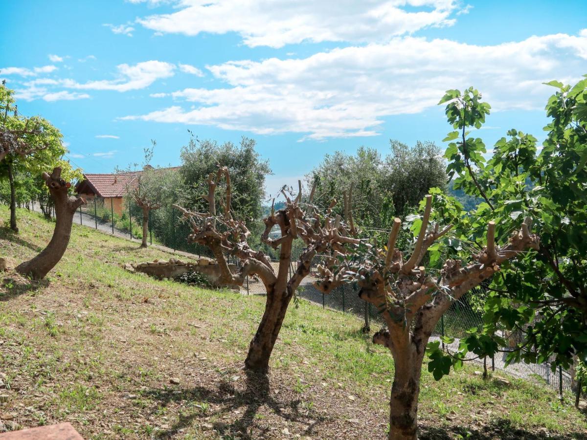 Holiday Home Ludovica By Interhome Soldano エクステリア 写真